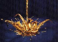 Picture for song 'Du Nubian Gents' by artist 'The Lethal Pro'