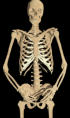 Picture for song '02-My Heavy Exo-Skeletal Structure(ft.J.S.Free)' by artist 'The Lost EP'
