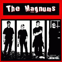 Picture for song 'One Shot' by artist 'The Magnums'
