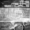 Picture for song 'Trixa' by artist 'The Metrosexuals'