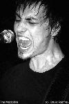 Picture for song 'It's not my fault' by artist 'The Mexicolas'