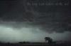 Picture for song 'Emptiness and storm' by artist 'the migrant'