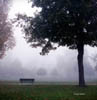 Picture for song 'Acoustic Solitude' by artist 'The Mirage'