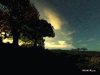 Picture for song 'Where The Ocean Meets The Night Sky' by artist 'The Mirage'