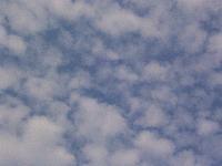 Picture for song 'Demo' by artist 'The Monotony Of Blue Skies'