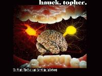 Picture for song 'Mary' by artist 'The Mouth The Brain and Everything In Between'