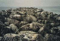 Picture for song 'Droppings' by artist 'The Name'