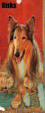 Picture for song 'Peanut Butter' by artist 'The Name'
