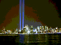 Picture for song '9-11' by artist 'The Neals'