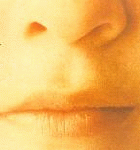 Picture for song 'Rhetoric Universe of' by artist 'The New Delos'