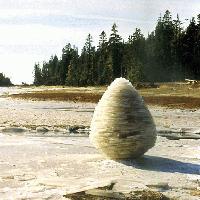 Picture for song 'Don't You Ever Believe' by artist 'The New Uncle Steve Band'