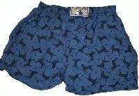 Picture for song 'South Beach' by artist 'The New Uncle Steve Band'