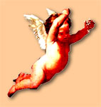 Picture for song 'OH YEAH ANGEL' by artist 'THE NOSE PICKERS'