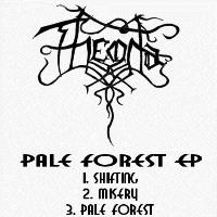 Picture for song 'Pale Forest' by artist 'Theoda'