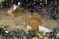 Picture for song 'onslought' by artist 'the order'