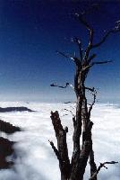 Picture for song 'offworld' by artist 'theory1'