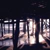 Picture for song 'Diamondback Under the Pier' by artist 'Theory of Krin'