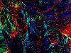 Picture for song 'Indecipherable' by artist 'Theory of Krin'