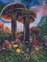 Picture for song 'A.K.A. Untitled' by artist 'The Paragon'