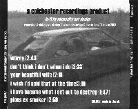 Picture for song 'I HAVE BECOME WHAT I SET OUT TO DESTROY' by artist 'The Party'