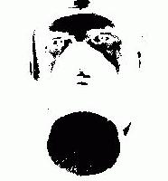 Picture for song 'LOVELY DAUGHTERS' by artist 'The Party'