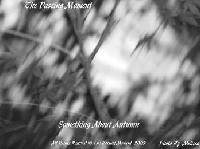 Picture for song 'Transparency' by artist 'The Passing Moment'