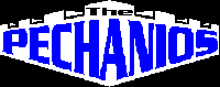 Picture for song 'Lost In The Haze (Live on WCFL-FM)' by artist 'The Pechanios'