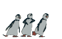Picture for song 'Its cold down here' by artist 'The Penguins (uk)'