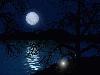 Picture for song 'Nighttime Shadows' by artist 'THE PEOPLE IN YOUR NEIGHBORHOOD'