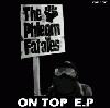 Picture for song 'Turn Up The Temperature' by artist 'The Phlegm Fatales'