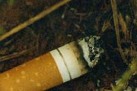 Picture for song 'Car Bomb Sonata' by artist 'The Physicist'