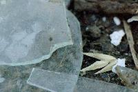 Picture for song 'Ragdoll Physiks' by artist 'The Physicist'