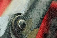 Picture for song 'The Ghost Who Allowed Herself To Be Photographed' by artist 'The Physicist'