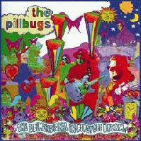 Picture for song 'Feet First' by artist 'The Pillbugs'