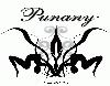 Picture for song 'The Head Doctor' by artist 'The Punany Poets'