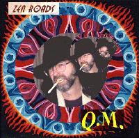 Picture for song 'Simplify' by artist 'The Quantum Mechanics'