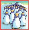 Picture for song 'you must never attack a penguin' by artist 'the radical penguins'