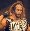 Picture for song 'Brown Eyed Hogan (Karaoke)' by artist 'The Randy Savages'