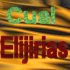 Picture for song 'Dime Cual Elejirias' by artist 'The Rap BOy'