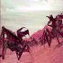 Picture for song 'March of the Spiders' by artist 'THE RAZOR'