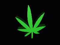 Picture for song 'Chronic Consience Freestyle' by artist 'Thereal 2Young'