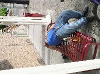 Picture for song 'sh**TY SH**Thole/ violent reaction' by artist 'the real bastard saints'