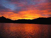 Picture for song 'Yellow Ledbetter/ Lenny' by artist 'The Red Tide'