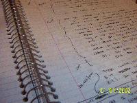 Picture for song 'The Rem' by artist 'The Rem'