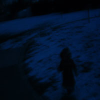 Picture for song 'coming back into the quiet' by artist 'the Riderless'