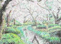 Picture for song 'Joy of Man's Desiring Remix' by artist 'The Road Not Taken'