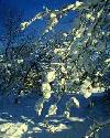 Picture for song 'Blizzards' by artist 'the Roadrunner'