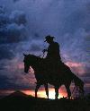 Picture for song 'Ramblin' Man' by artist 'the Roadrunner'