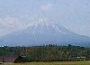 Picture for song 'Wake Up' by artist 'the Roadrunner'