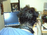 Picture for song 'Rogue - LA Piano(Instr)' by artist 'The Rogue'